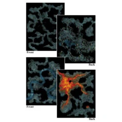 Pathfinder 2E RPG: Flip-Mat - Darklands Dangers Multi-Pack 5 Pathfinder 2E RPG: Flip-Mat - Darklands Dangers Multi-Pack -Miniaturemarket Online Store pzo30130 2