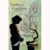 Graphic Novel Adventures: Tears Of A Goddess (Last Chance) -Miniaturemarket Online Store vrggna02
