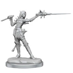 Pathfinder Legendary Cuts: W2 Female Elf Rogue -Miniaturemarket Online Store wzk77003