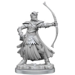 Pathfinder Legendary Cuts: W2 Female Human Champion (Preorder) -Miniaturemarket Online Store wzk77004 3